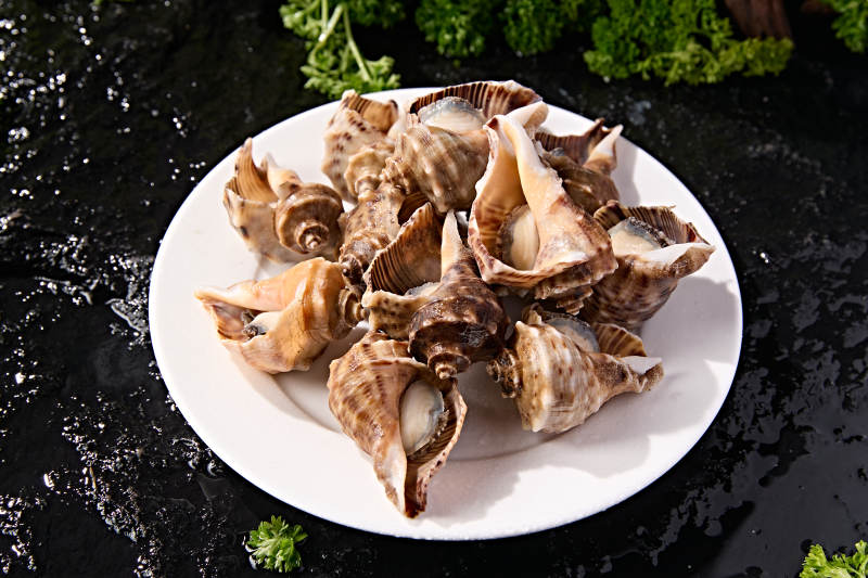 火锅烧烤海鲜食材开壳熟制大海螺图片