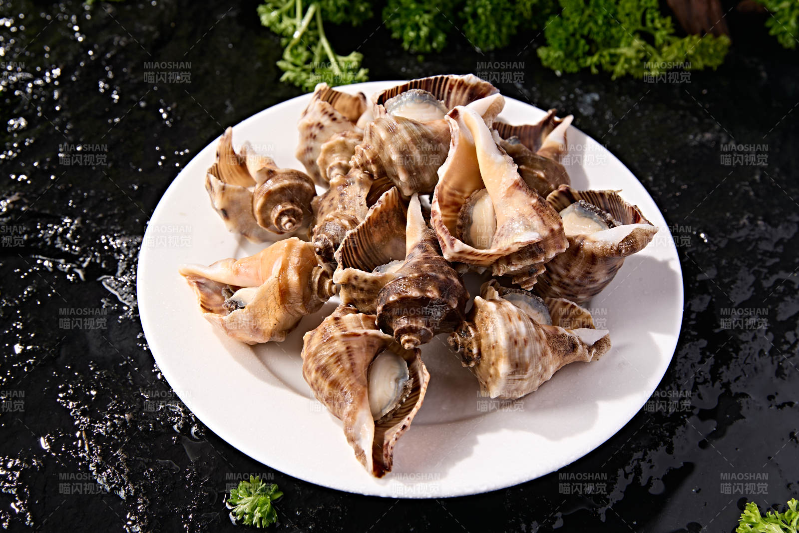 火锅烧烤海鲜食材开壳熟制大海螺图片