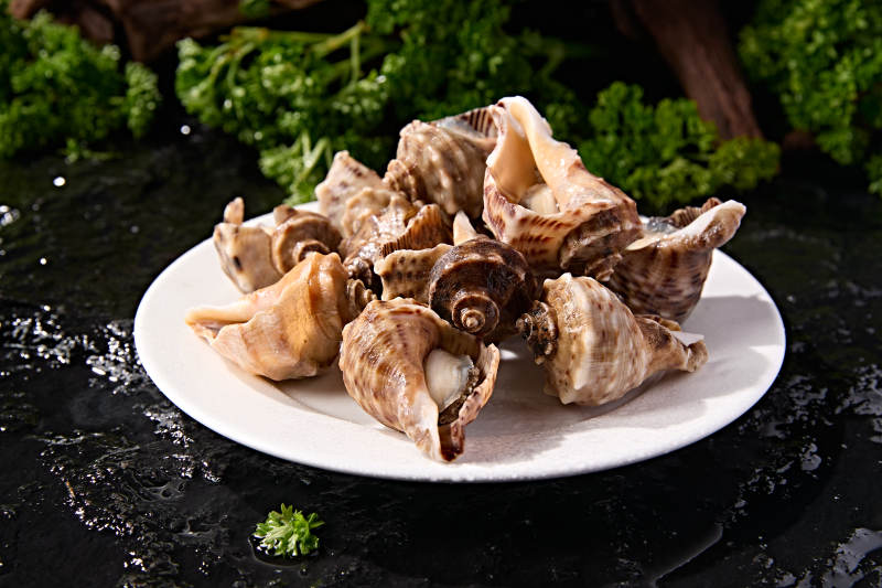 火锅烧烤海鲜食材开壳熟制大海螺图片