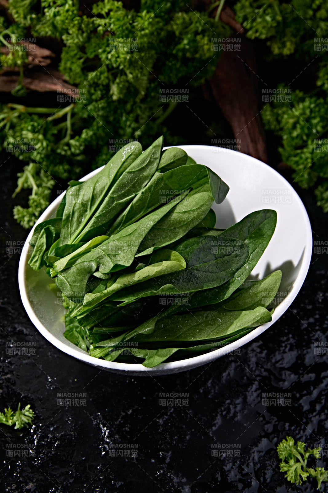 火锅涮菜食材新鲜绿叶菠菜图片