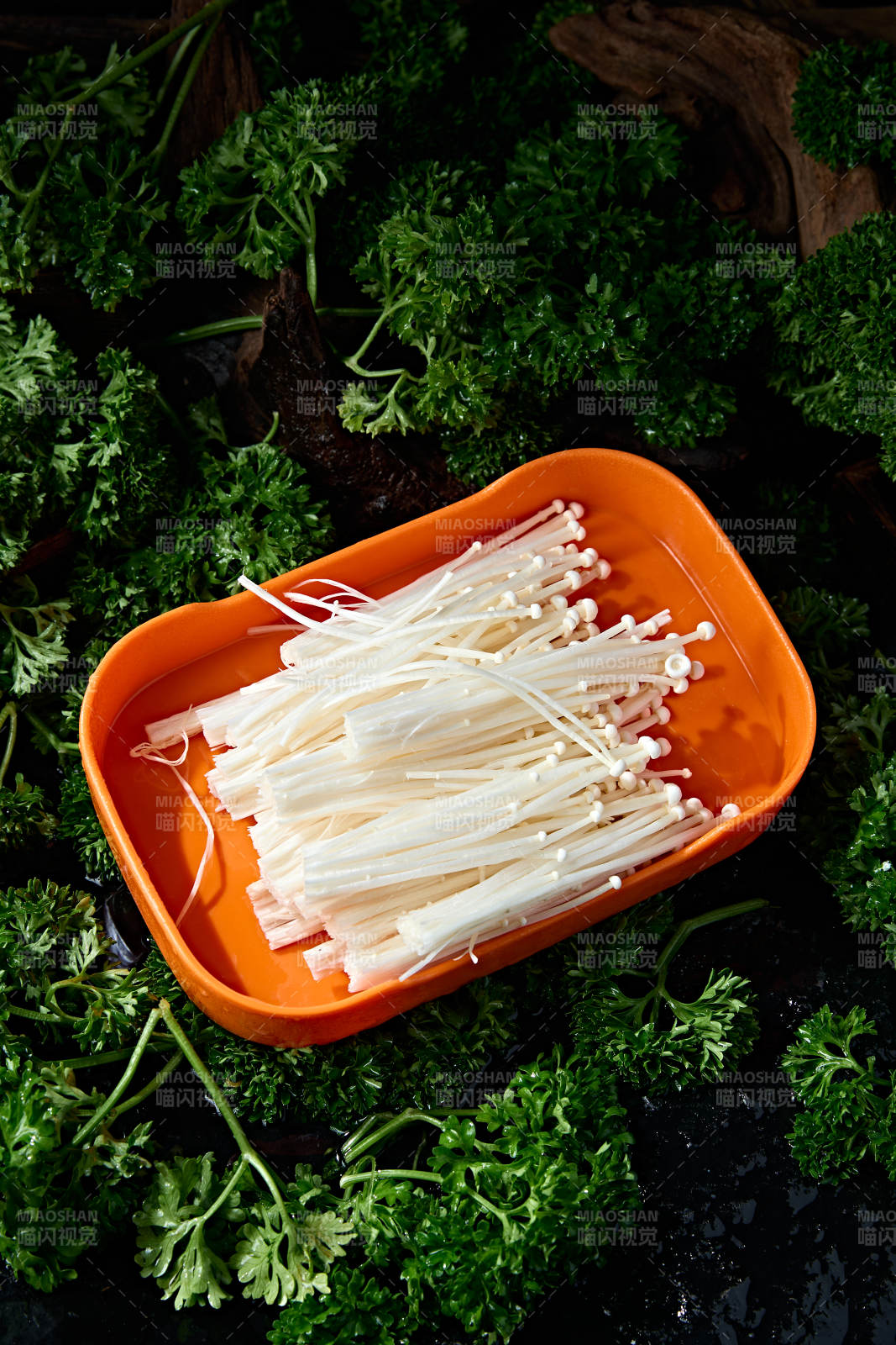 火锅食材新鲜金针菇图片