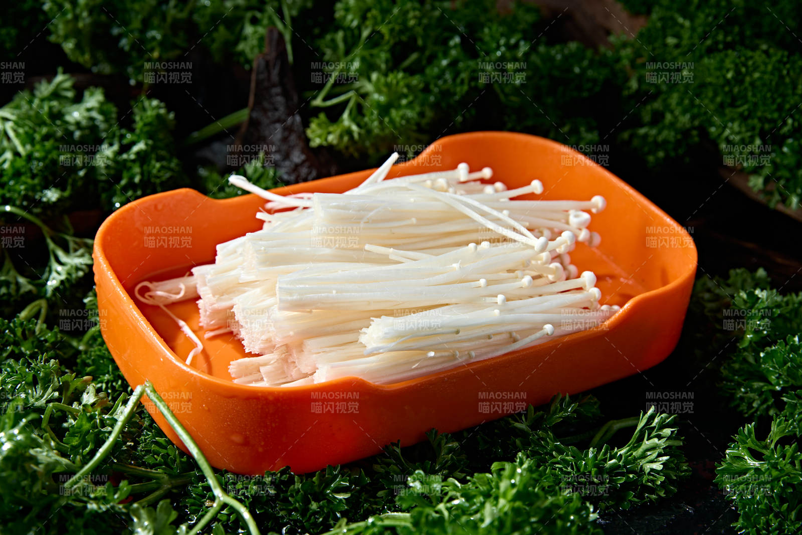 火锅食材新鲜金针菇图片