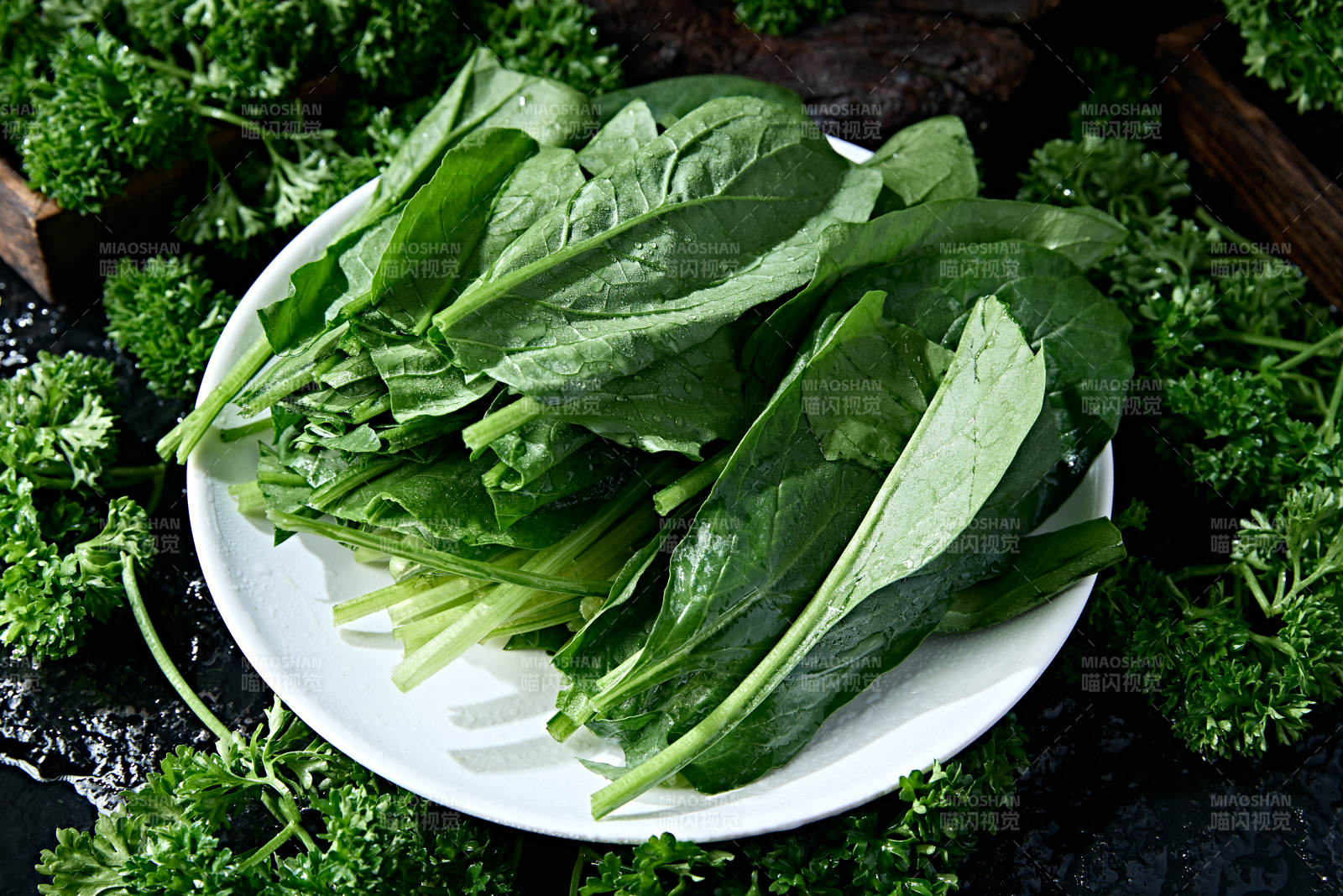 火锅食材新鲜大叶菠菜图片