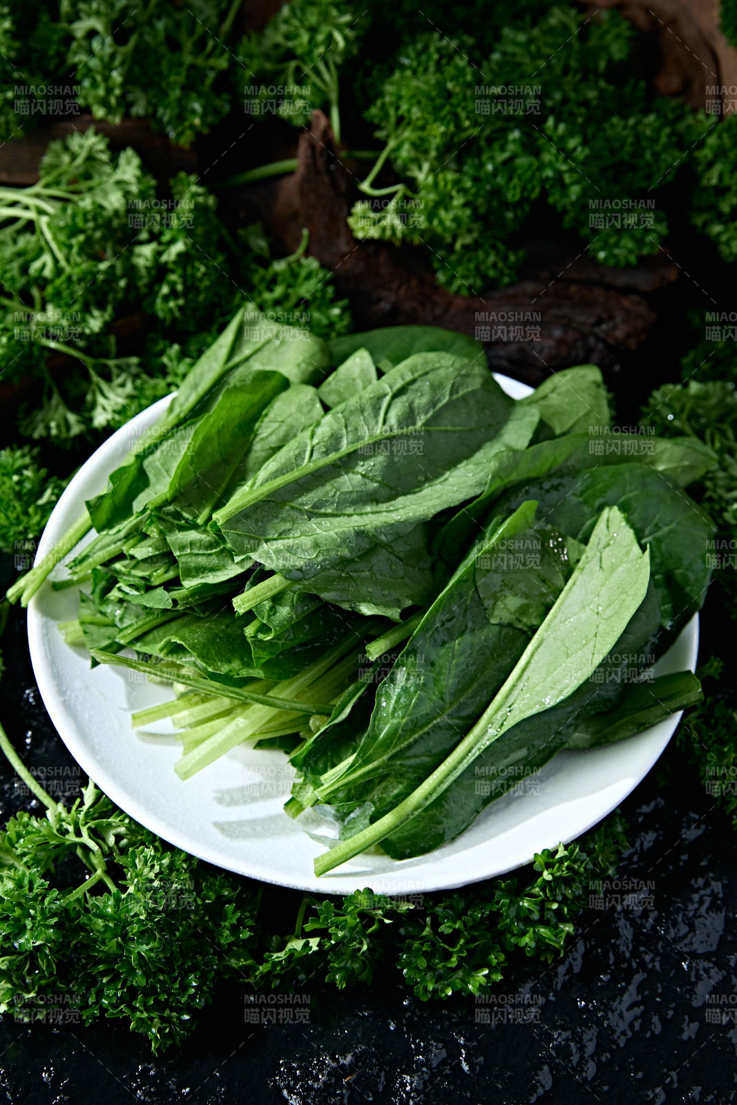 火锅食材新鲜大叶菠菜图片