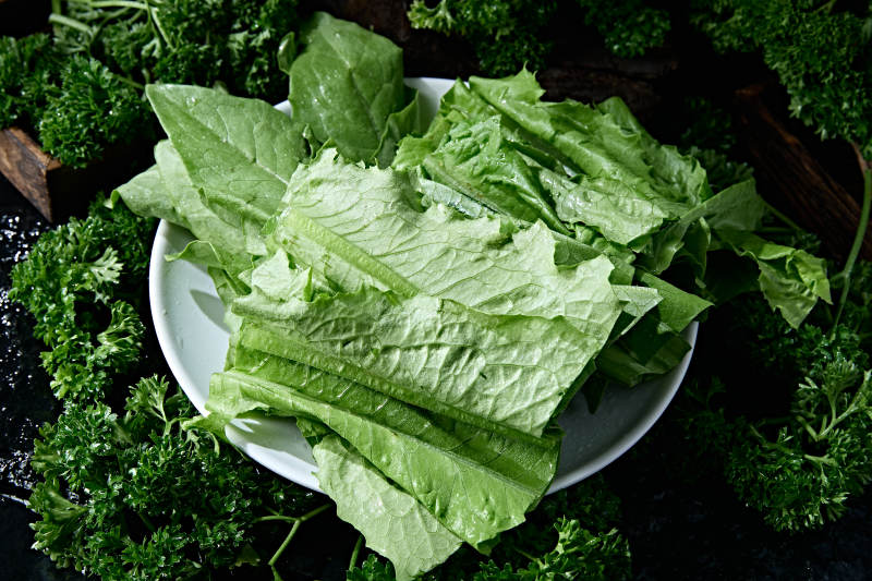 火锅食材新鲜油麦菜图片