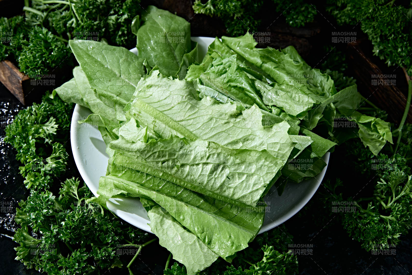 火锅食材新鲜油麦菜图片