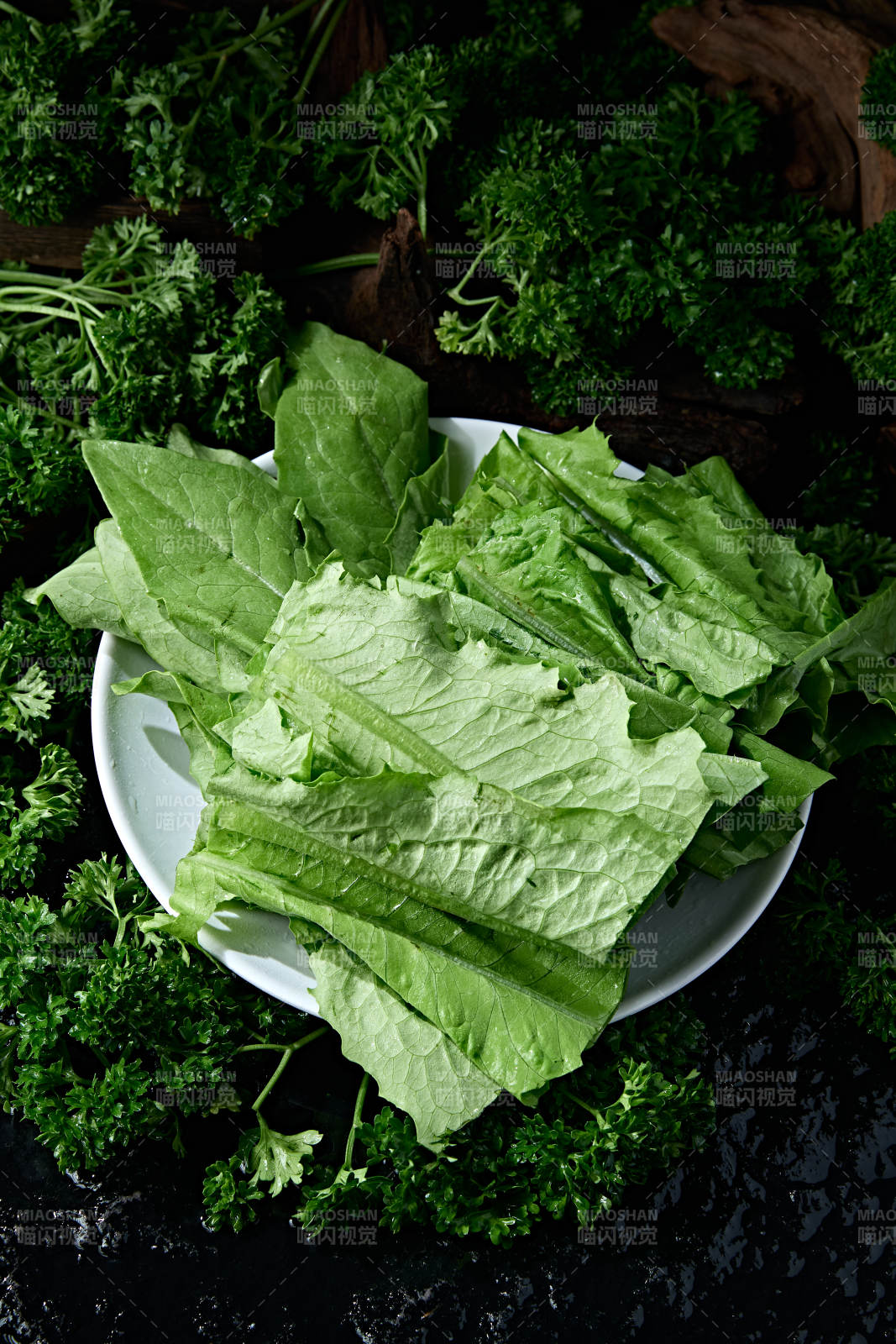火锅食材新鲜油麦菜图片