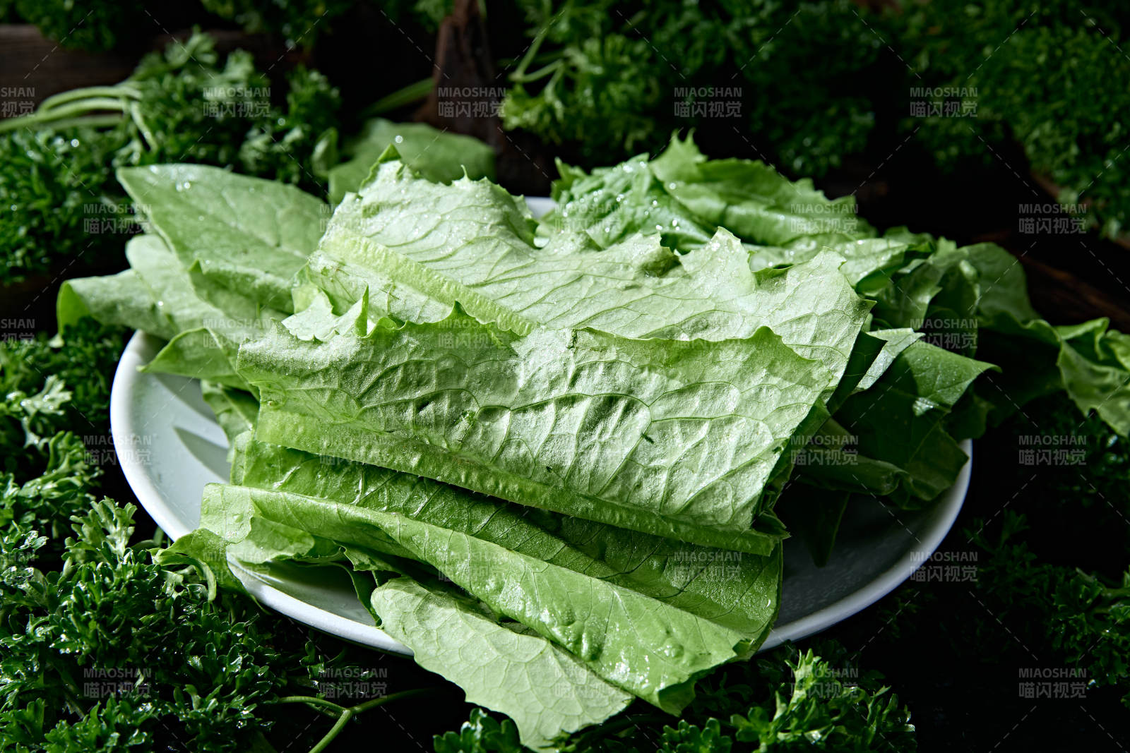 火锅食材新鲜油麦菜图片