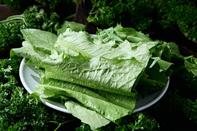 火锅食材新鲜油麦菜图片