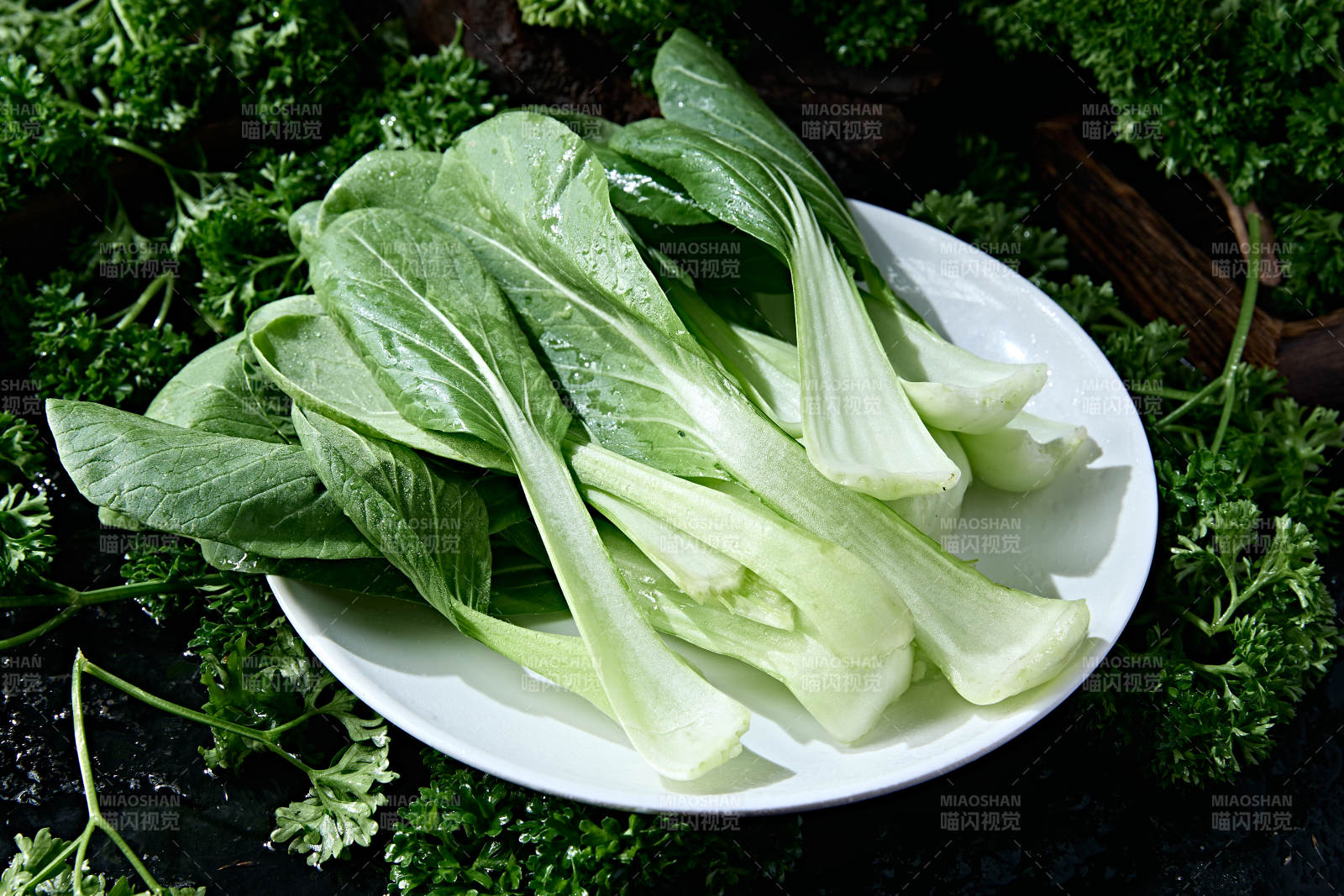 火锅食材新鲜上海青小油菜图片