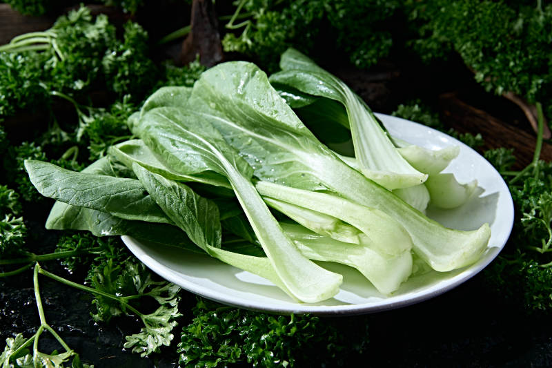 火锅食材新鲜上海青小油菜图片