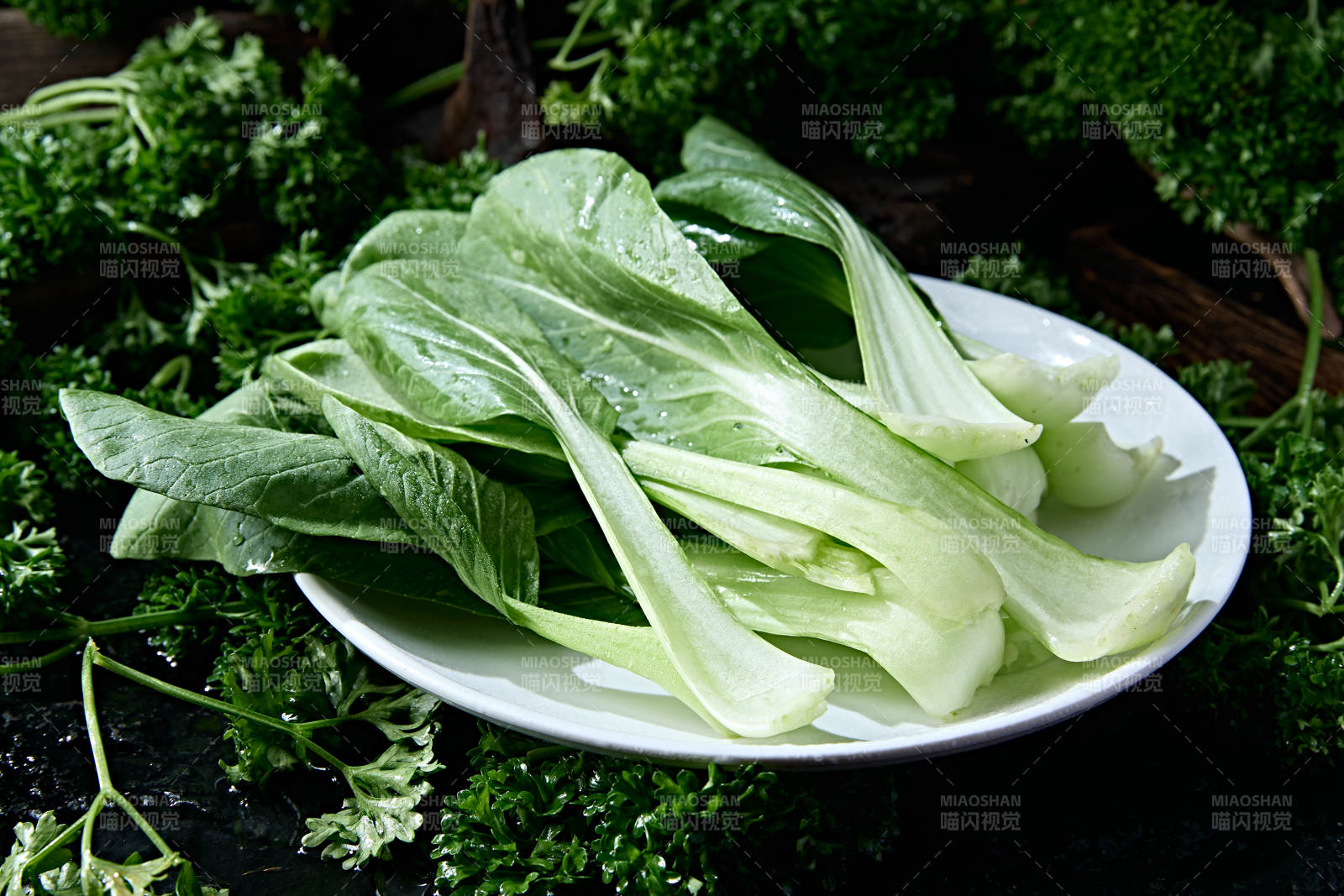 火锅食材新鲜上海青小油菜图片