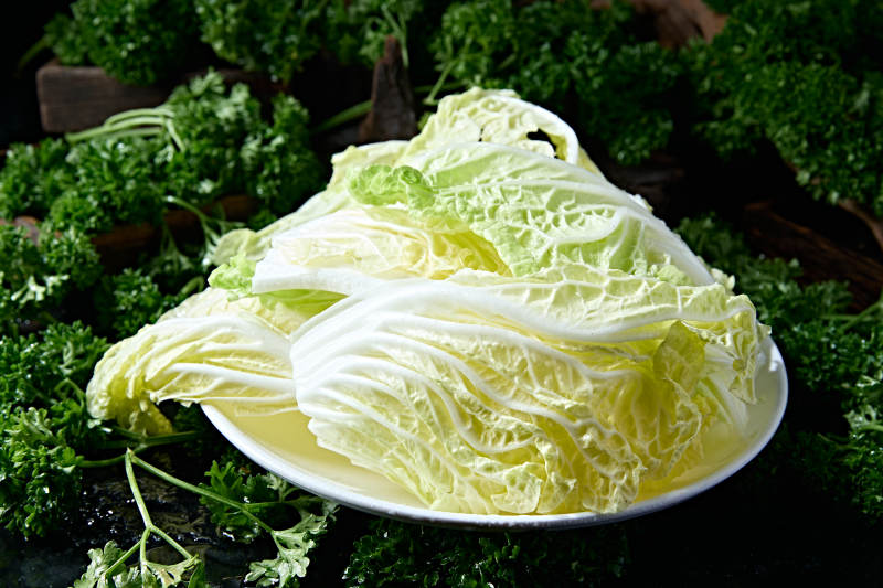火锅食材黄心大白菜图片