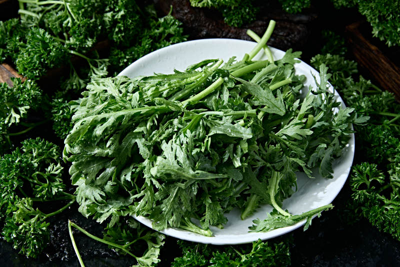 火锅食材新鲜茼蒿蒿子秆图片