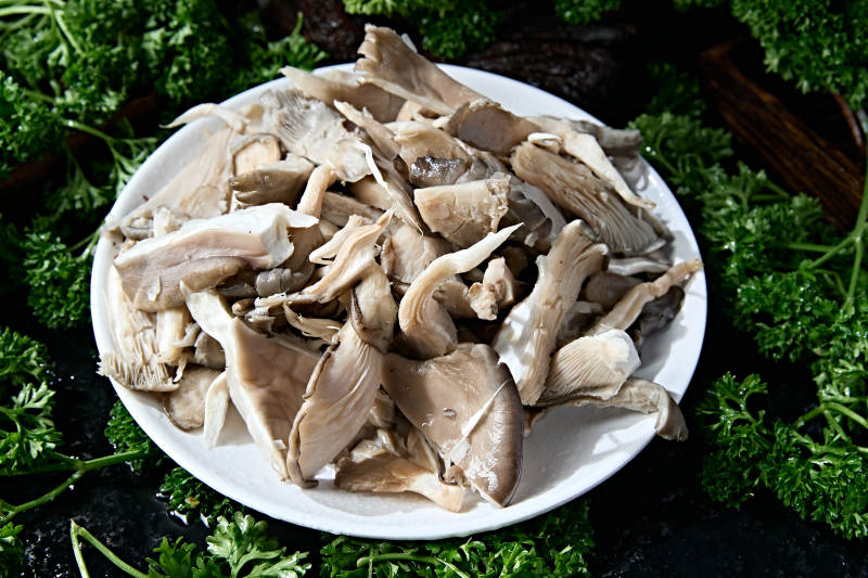 火锅食材新鲜平菇秀珍菇图片