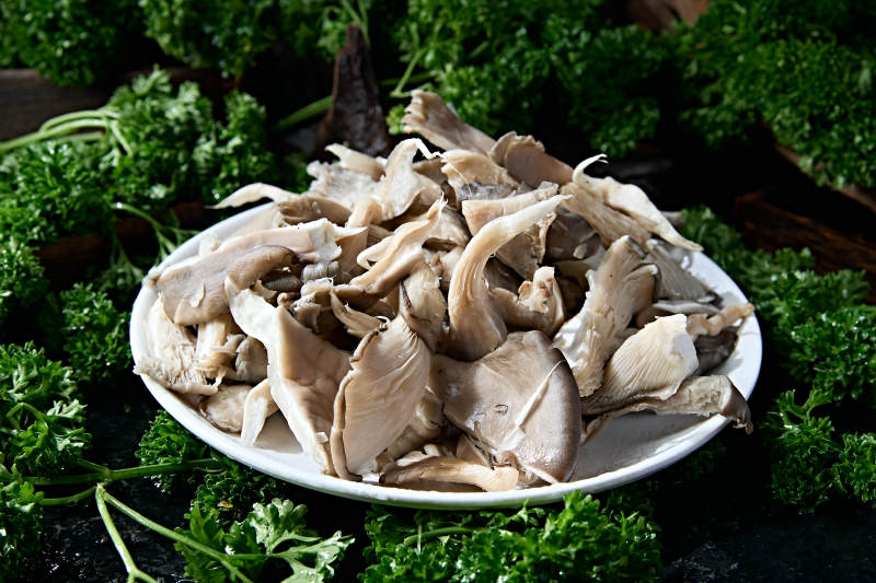 火锅食材新鲜平菇秀珍菇图片