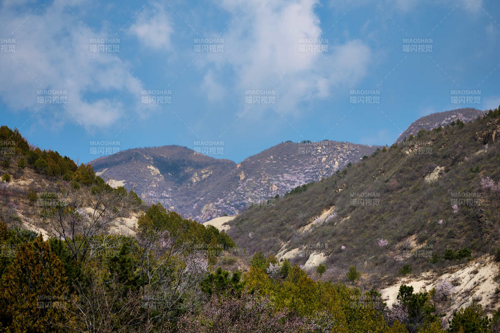 开满桃花并云雾缭绕的巍峨山间图片