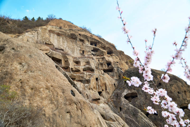 粉色山桃花衬托北京延庆古崖居窟遗址图片