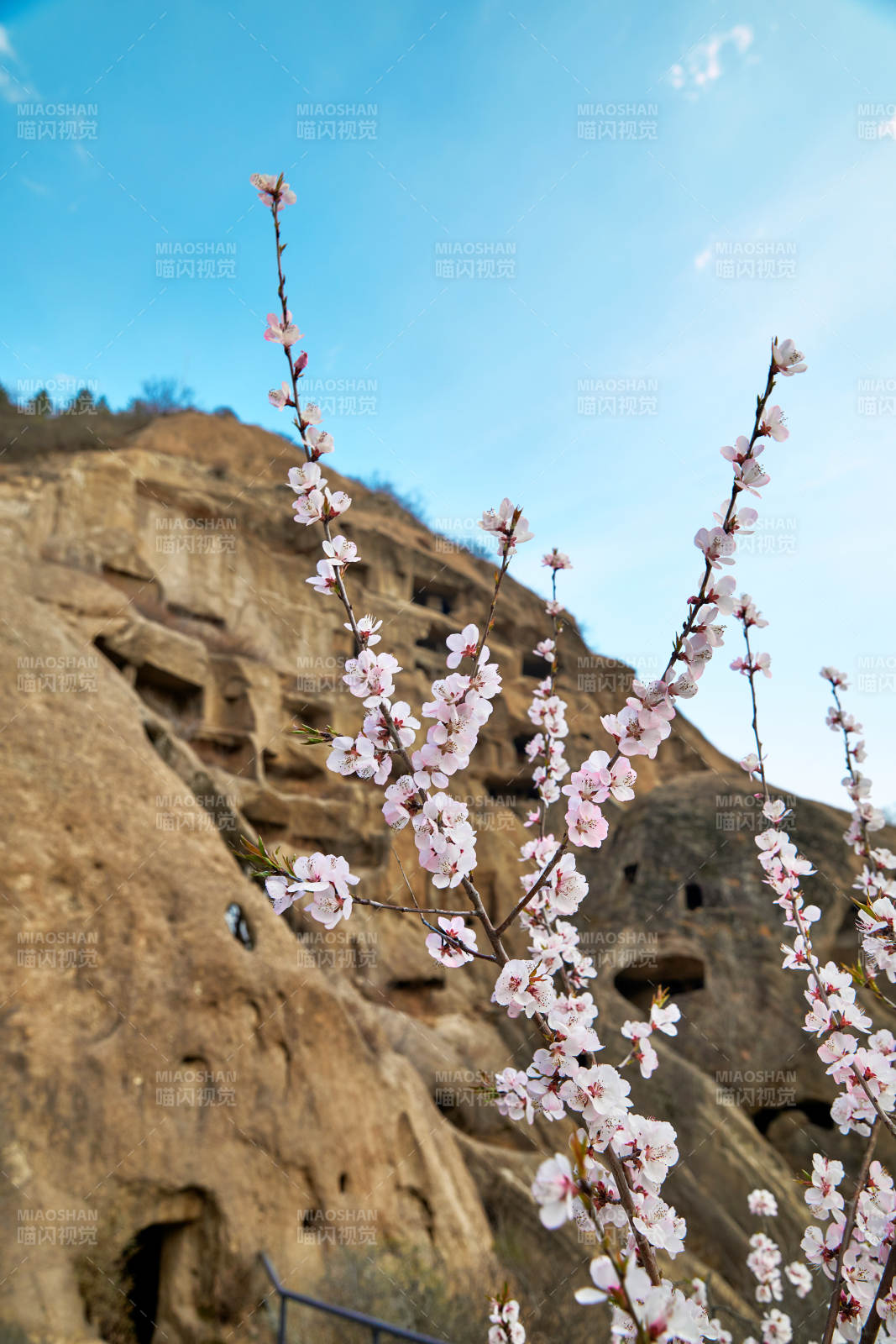 粉色山桃花衬托北京延庆古崖居窟遗址图片