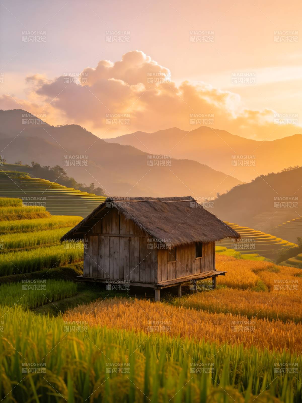 梯田木屋 夕照山乡图片