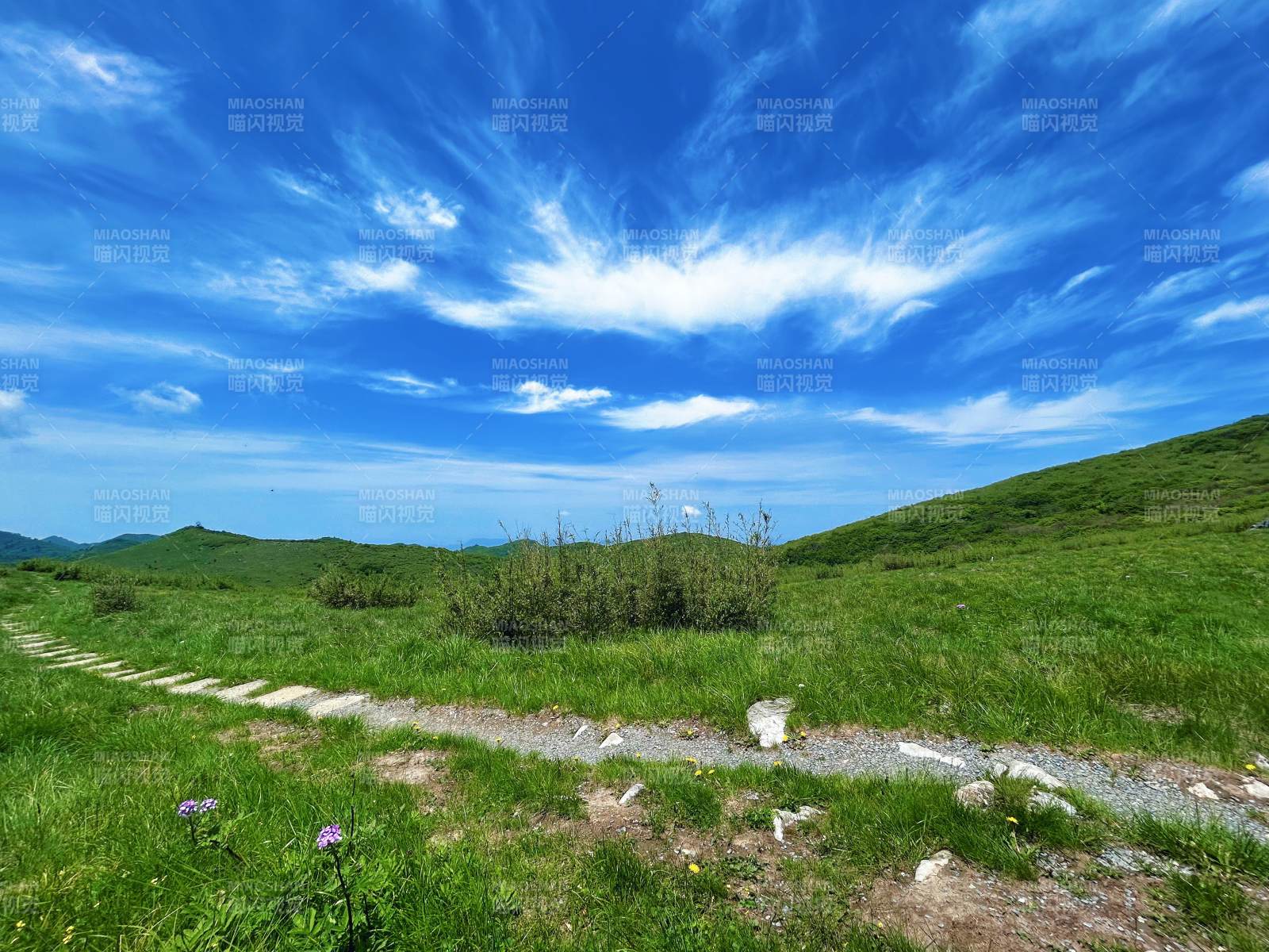 秦岭山脉图片