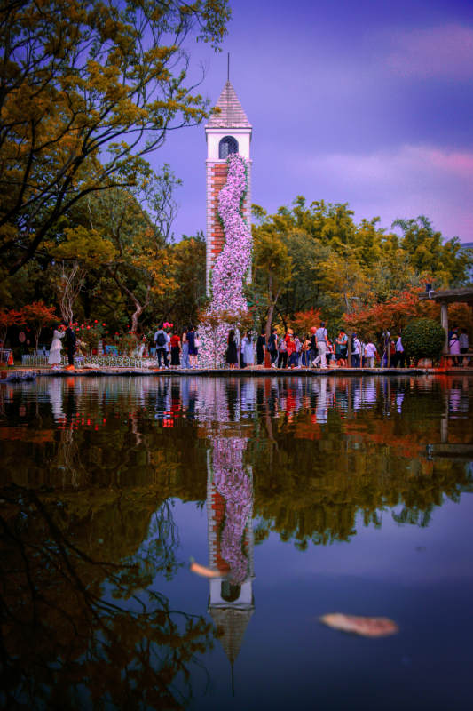 花塔映水 秋色醉人图片