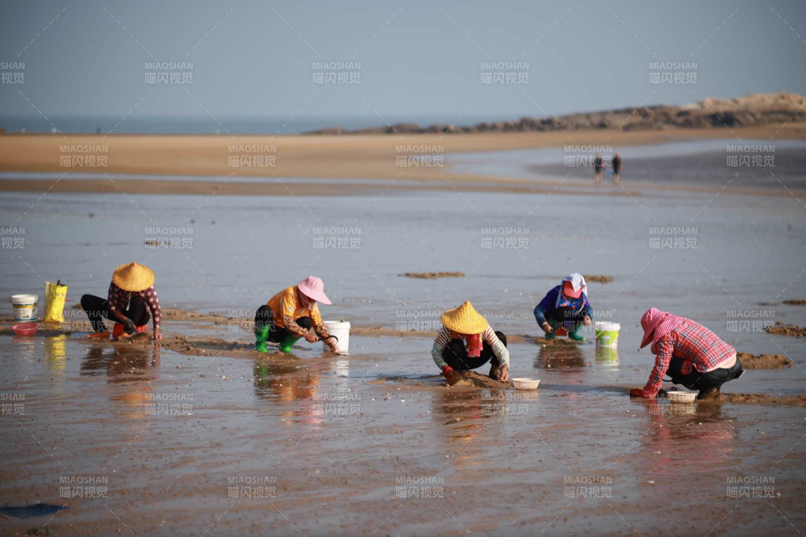 海滩赶海人拾贝忙图片