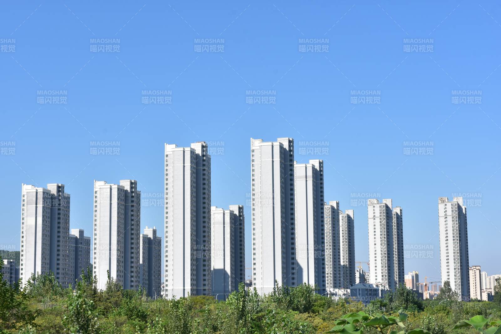 蓝天下的现代高层住宅群图片