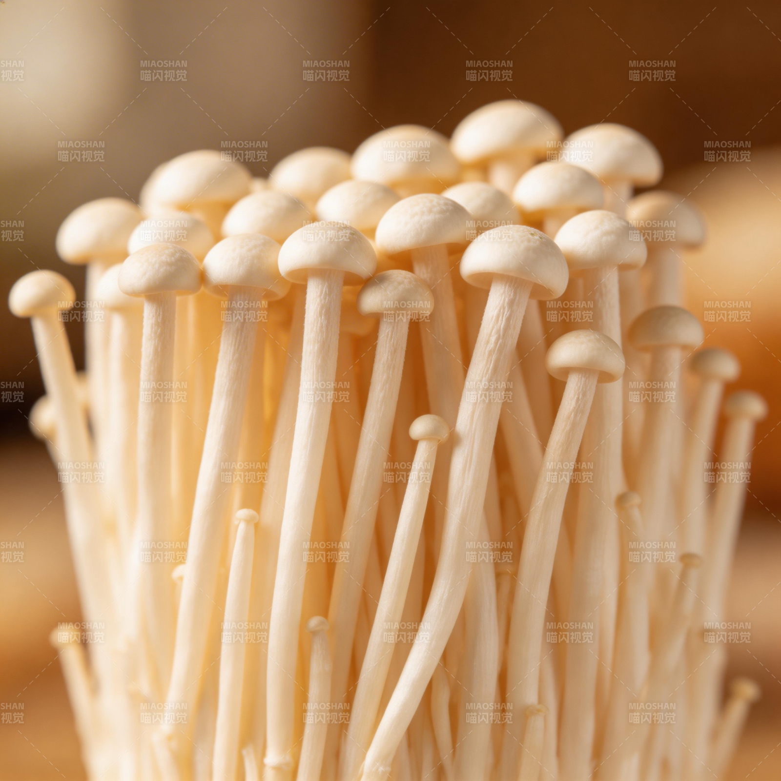 金针菇簇拥特写图片