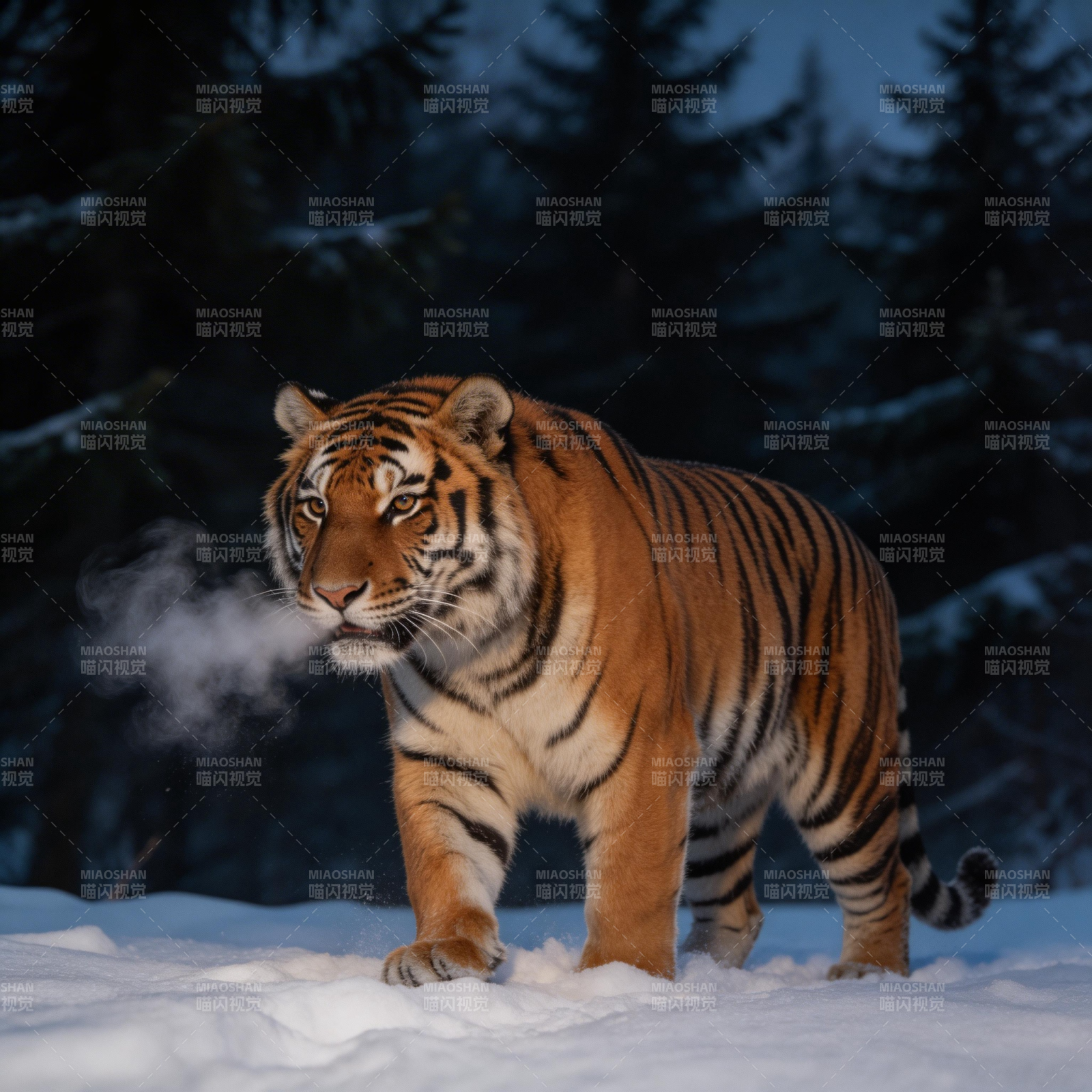 雪夜虎影 呼气成霜图片