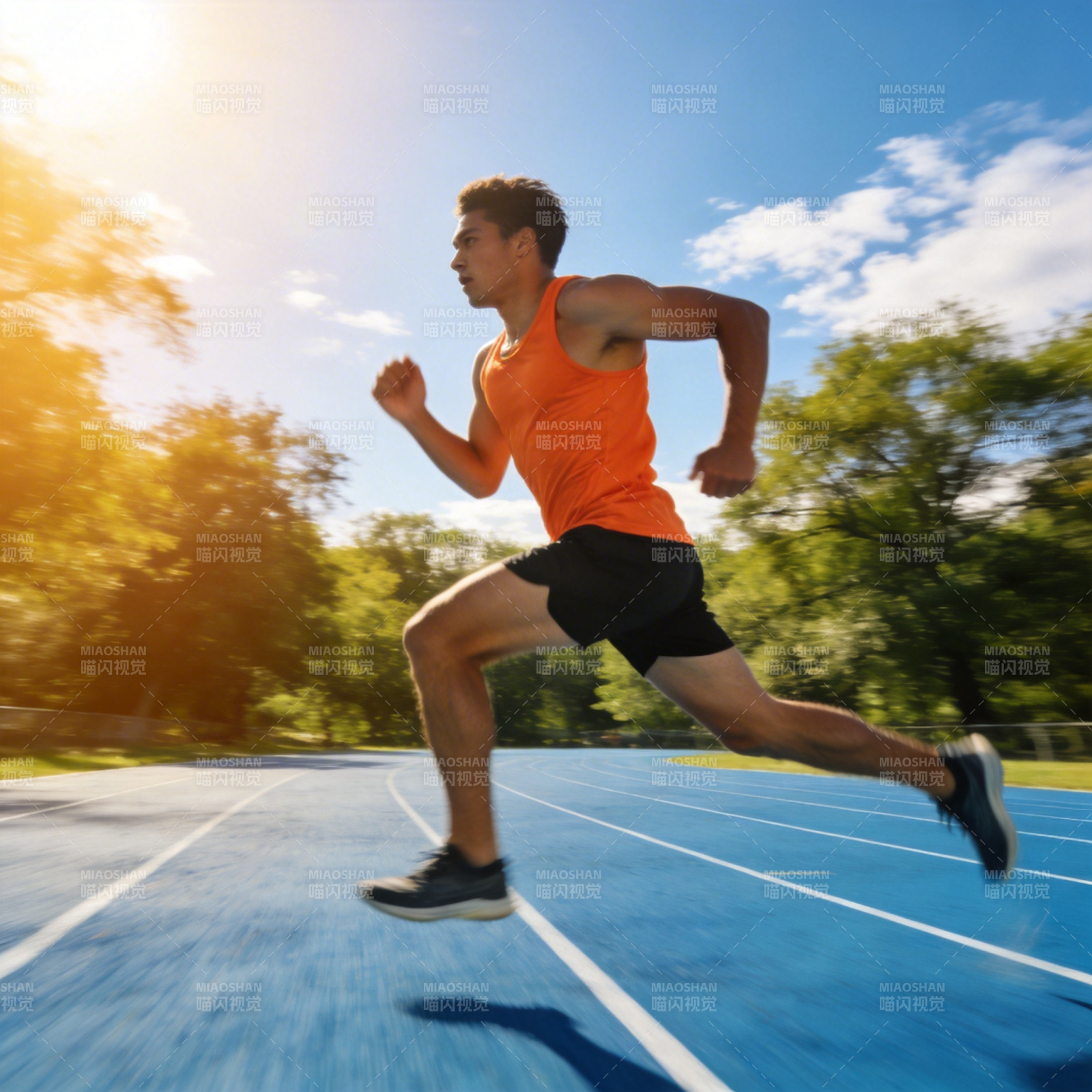 阳光跑道 疾驰如风图片