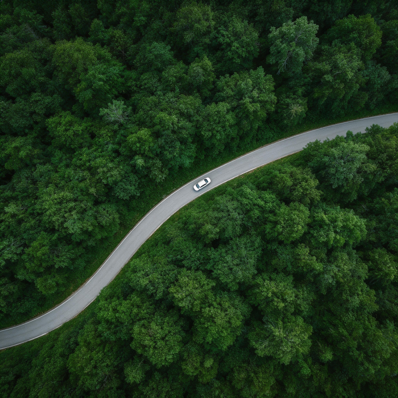 林间弯道 一车穿行绿意中图片