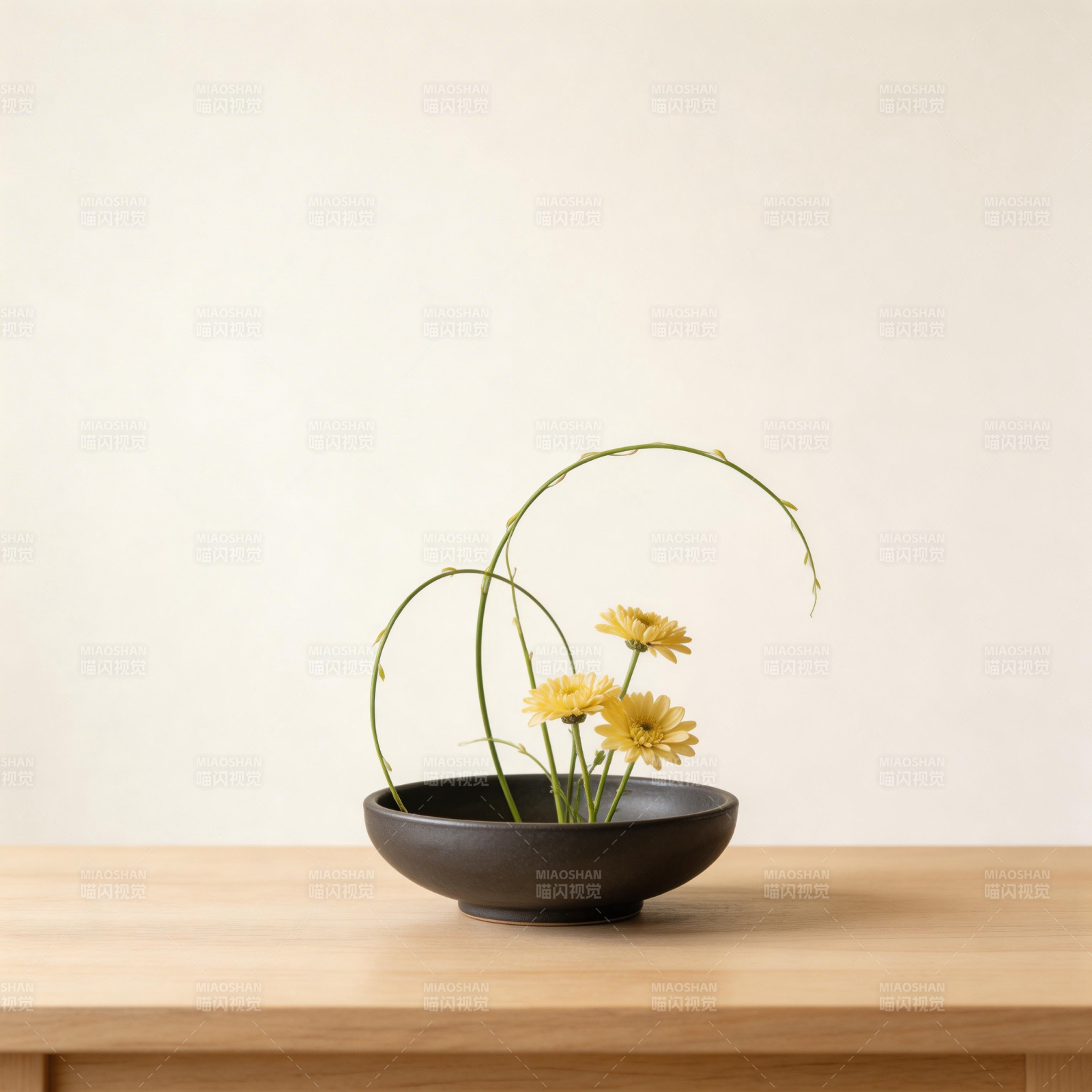 黑碗黄花 简约禅意美图片