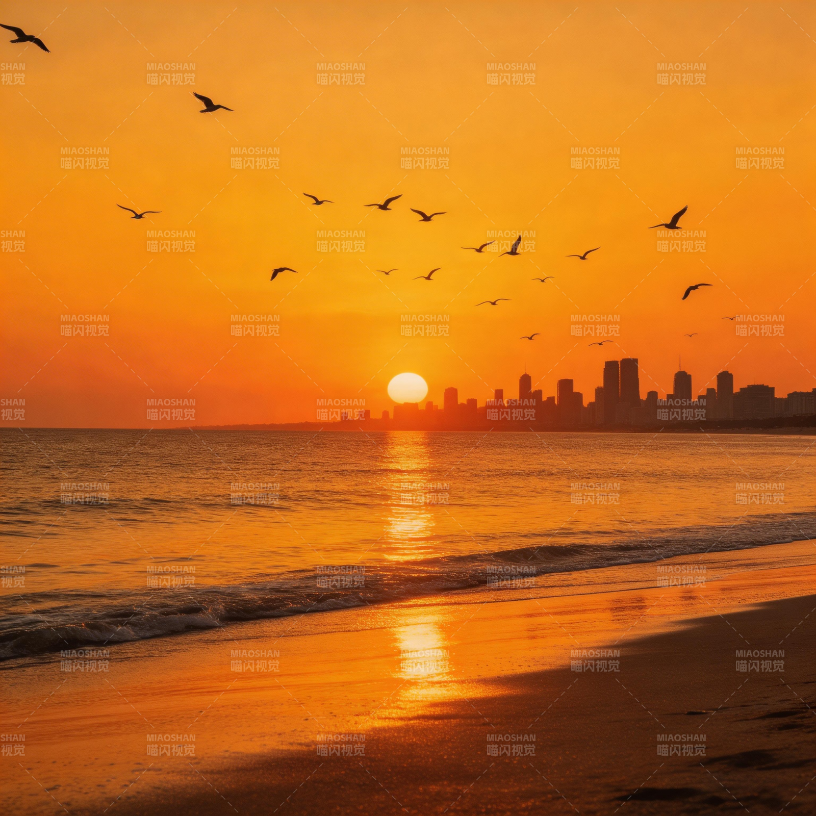 夕阳海鸥城影金滩图片