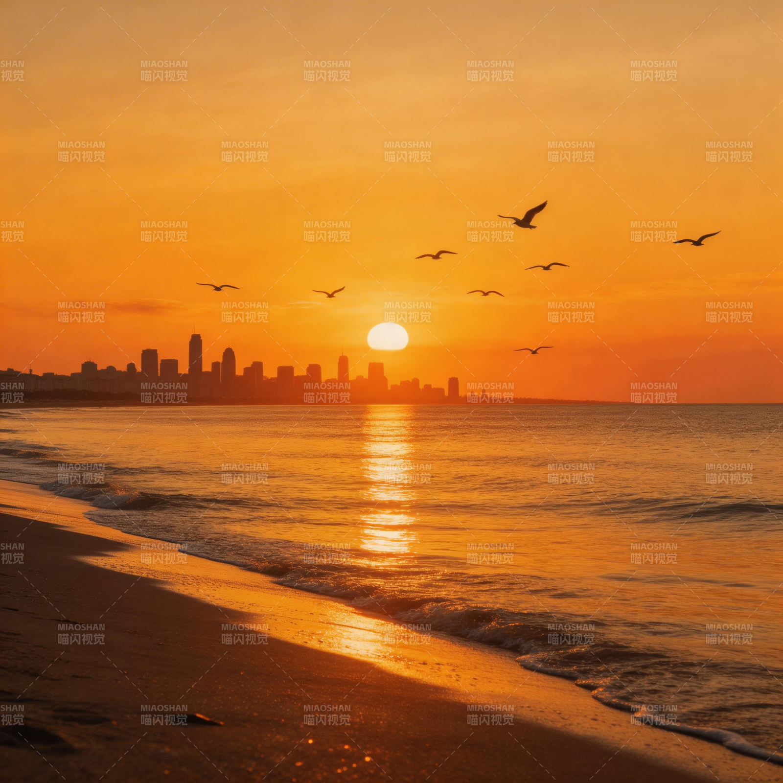 夕阳海鸥伴城影图片