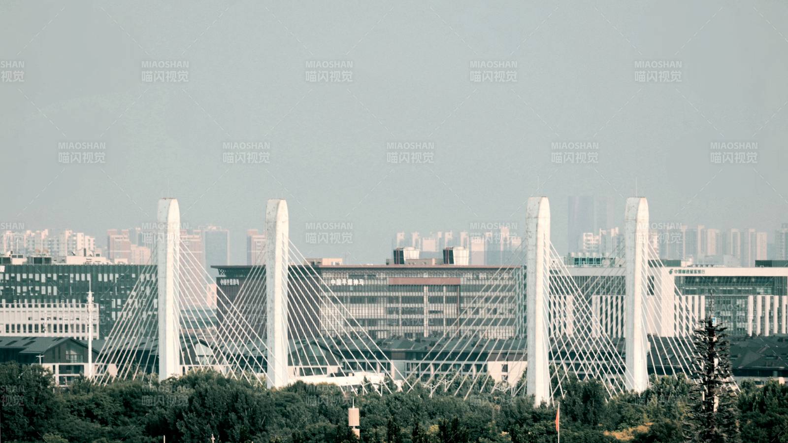 郑州大桥城市风光图片