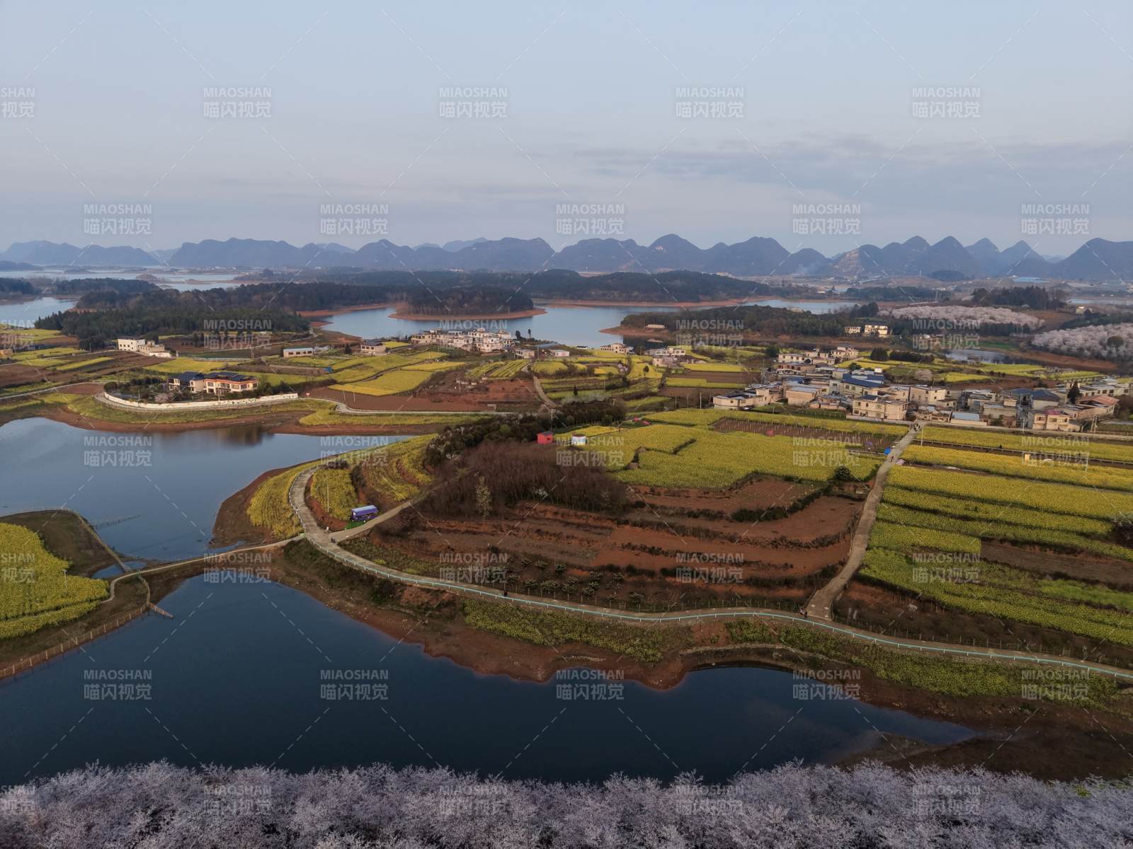 山水田园 春日花海画卷图片