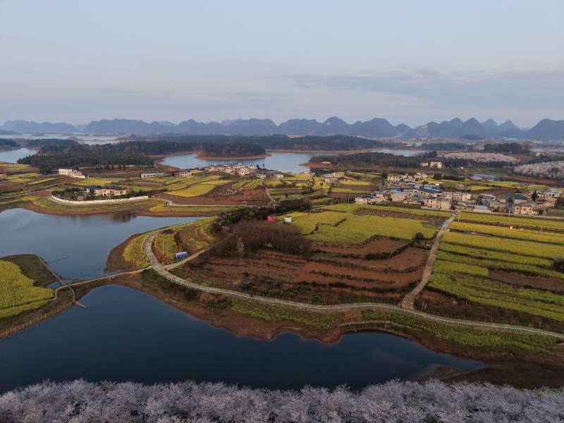 山水田园 春日花海画卷图片
