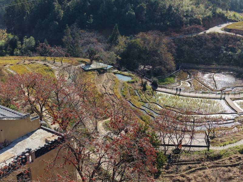 山村梯田映春色图片