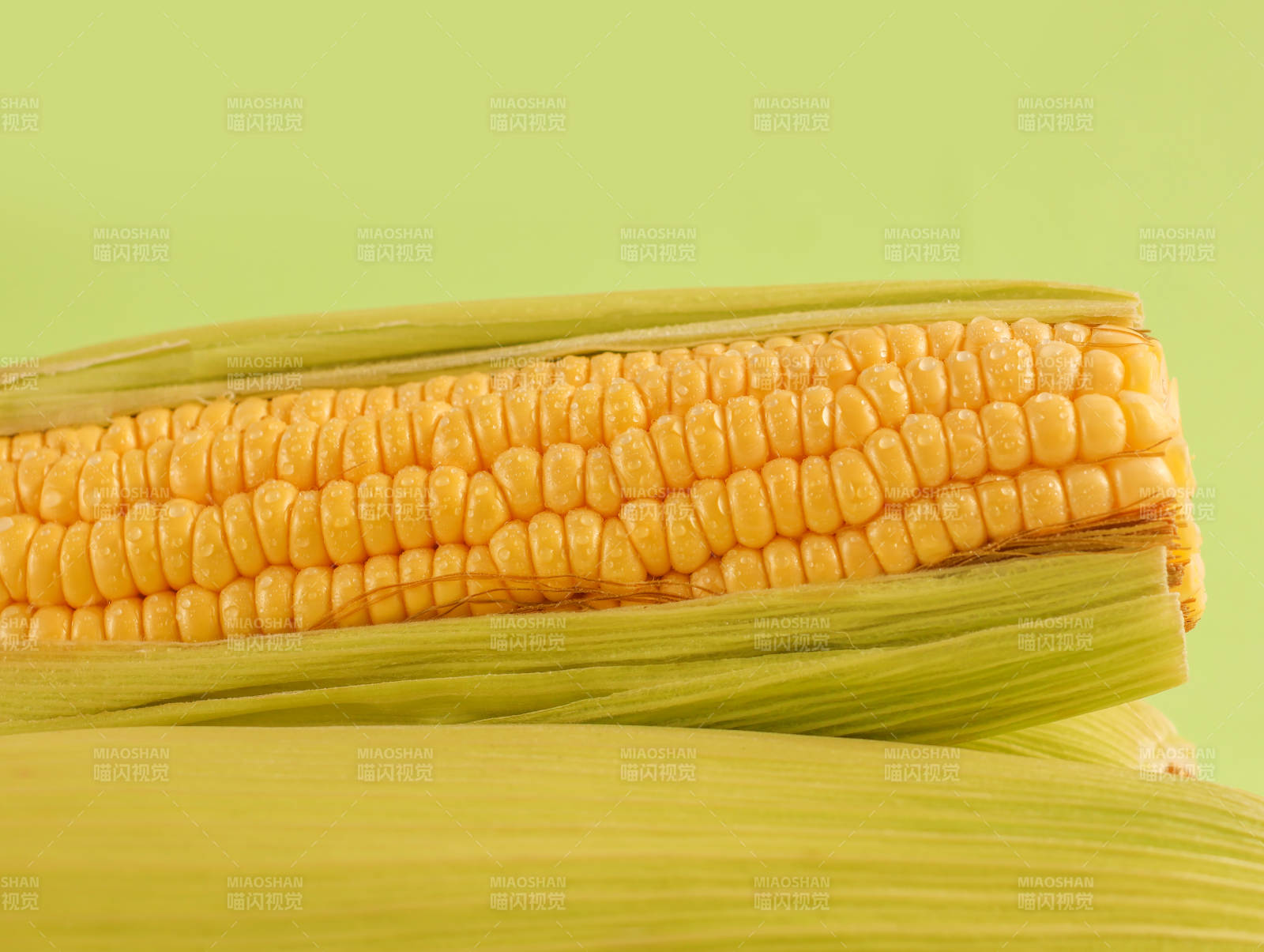 新鲜玉米特写 金黄饱满诱人图片