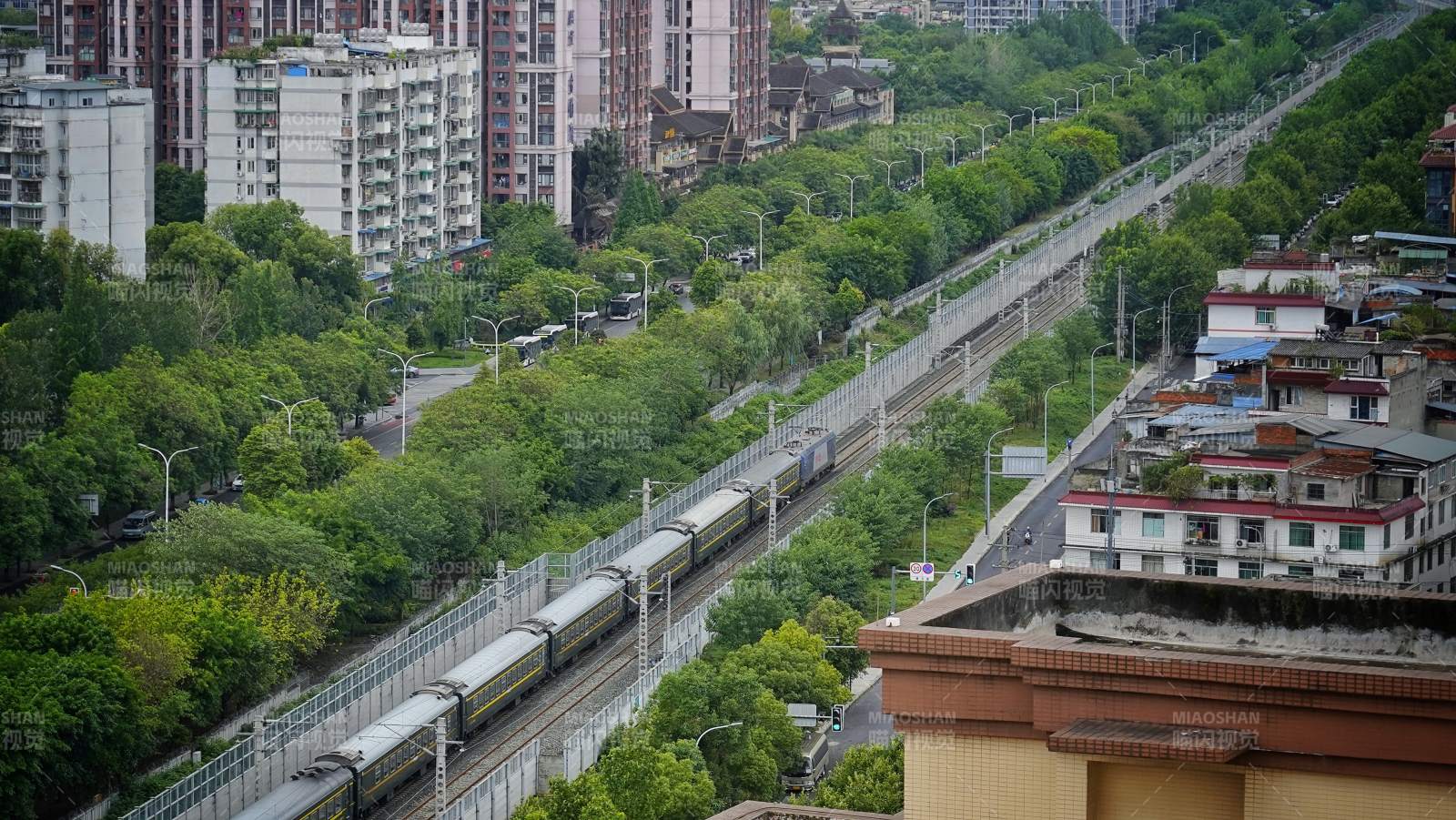 城市绿廊中的轻轨列车。图片