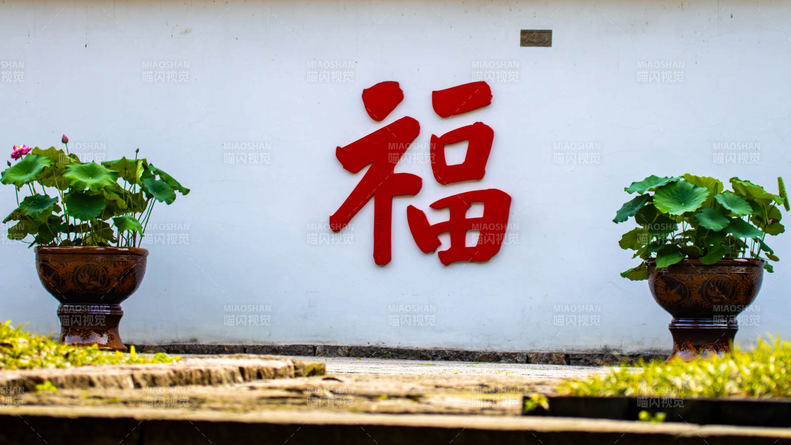福字墙前双盆绿植映白墙图片
