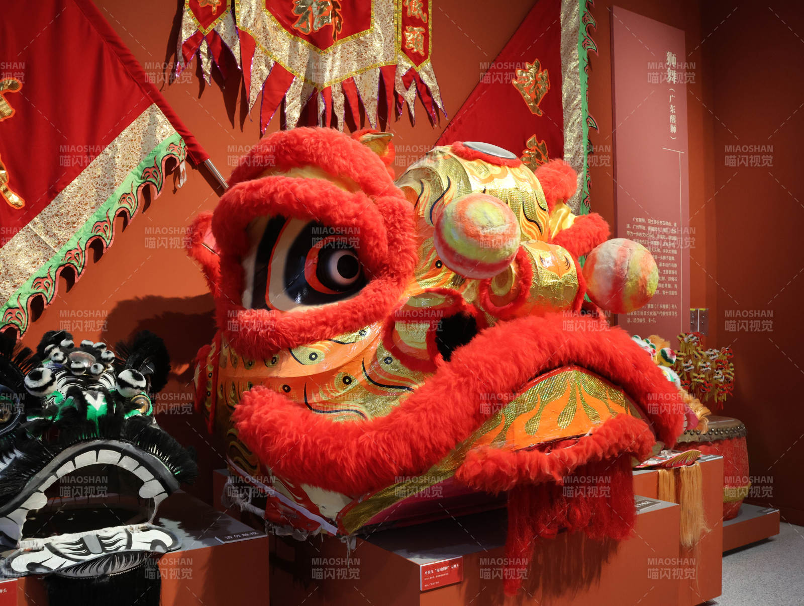 红金狮头展陈馆图片
