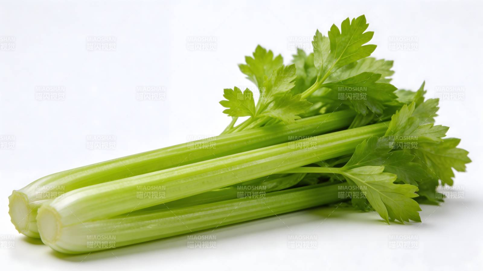 新鲜翠绿芹菜束图片