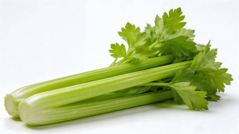 新鲜翠绿芹菜束图片