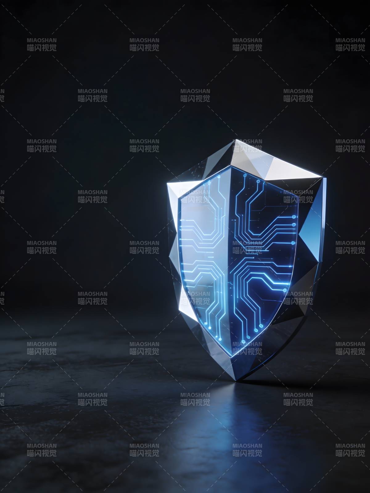 数字盾牌 科技守护图片
