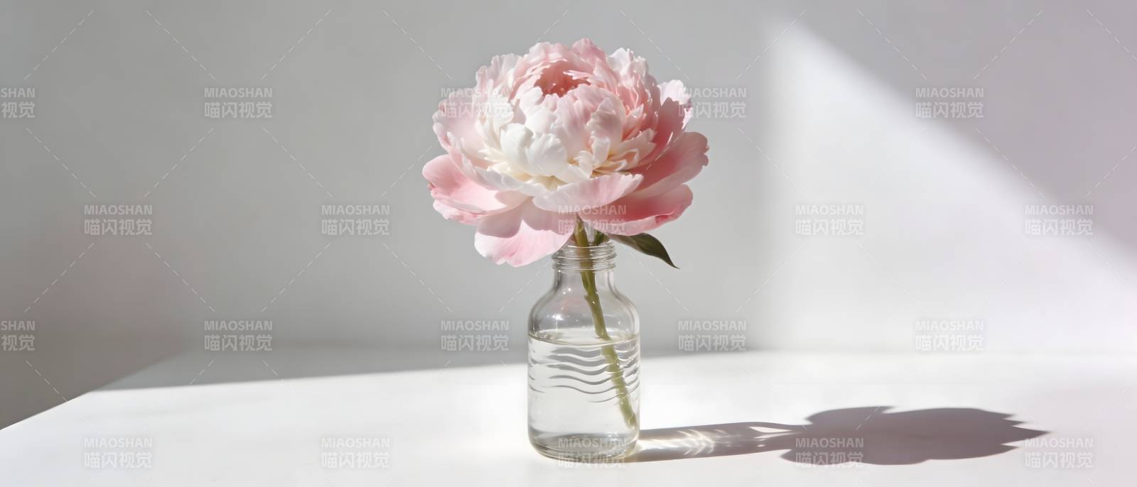 粉芍药瓶影静美图片