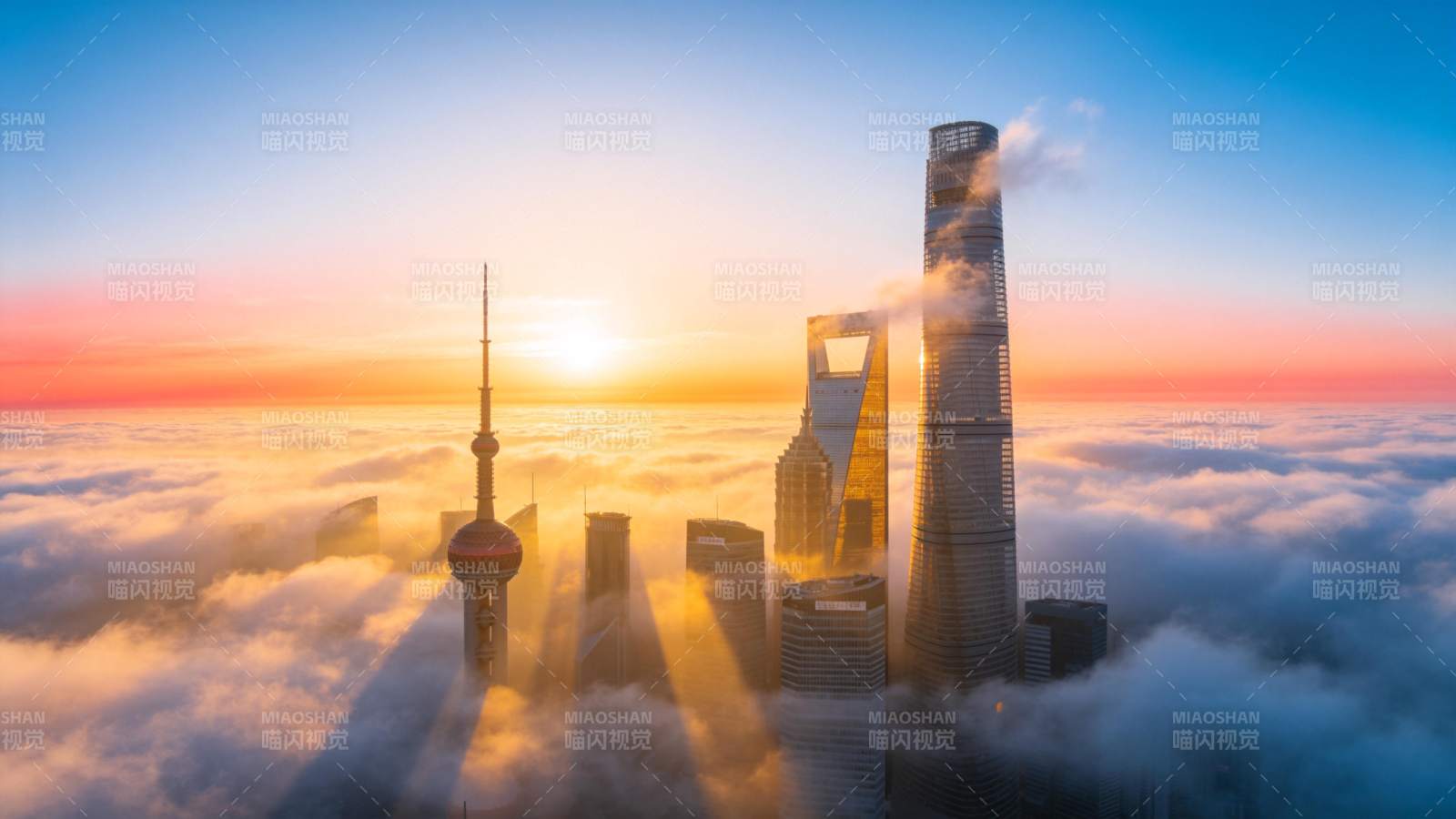 云海之上 魔都晨曦图片