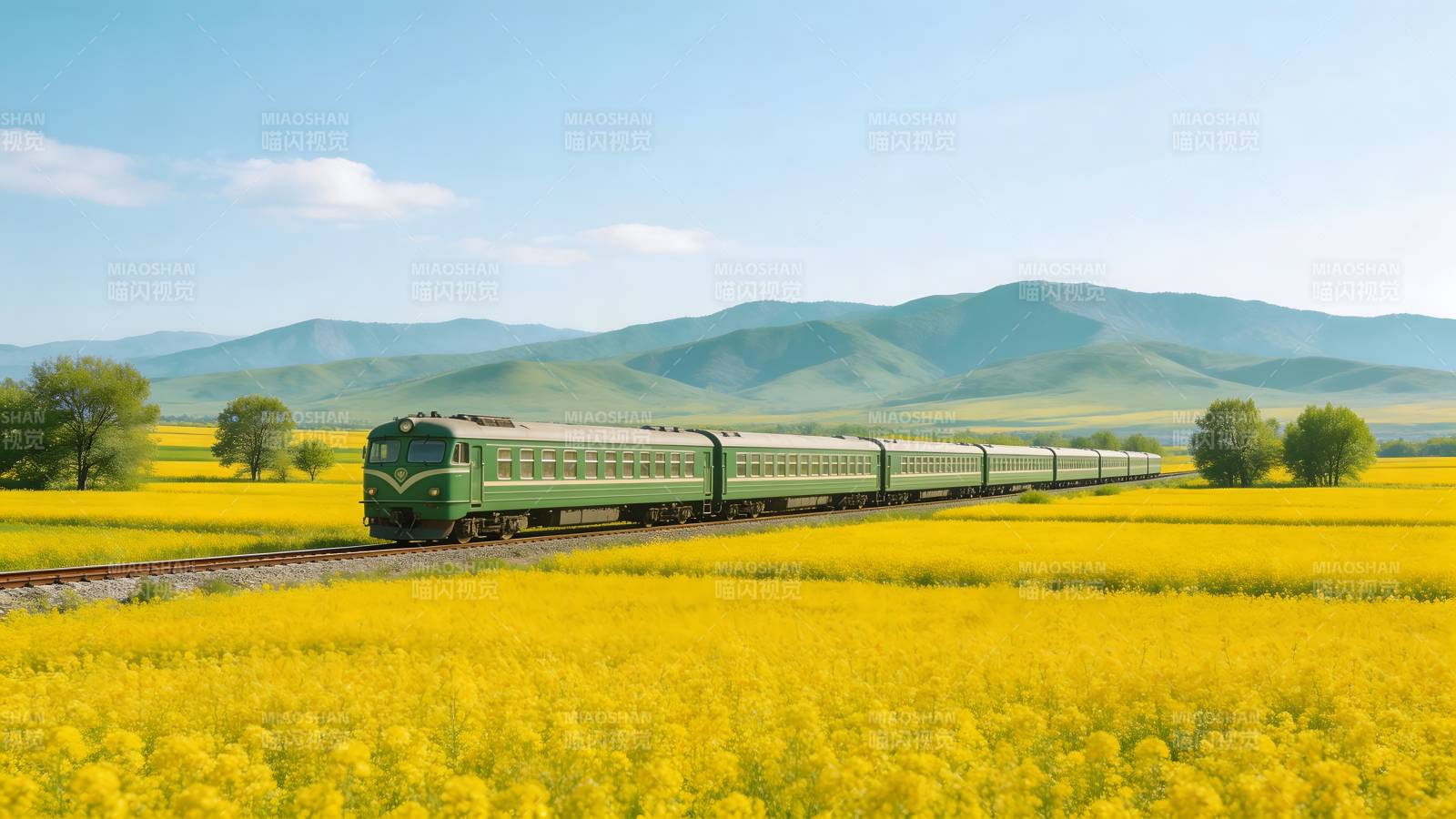 绿火车穿行金黄花海图片