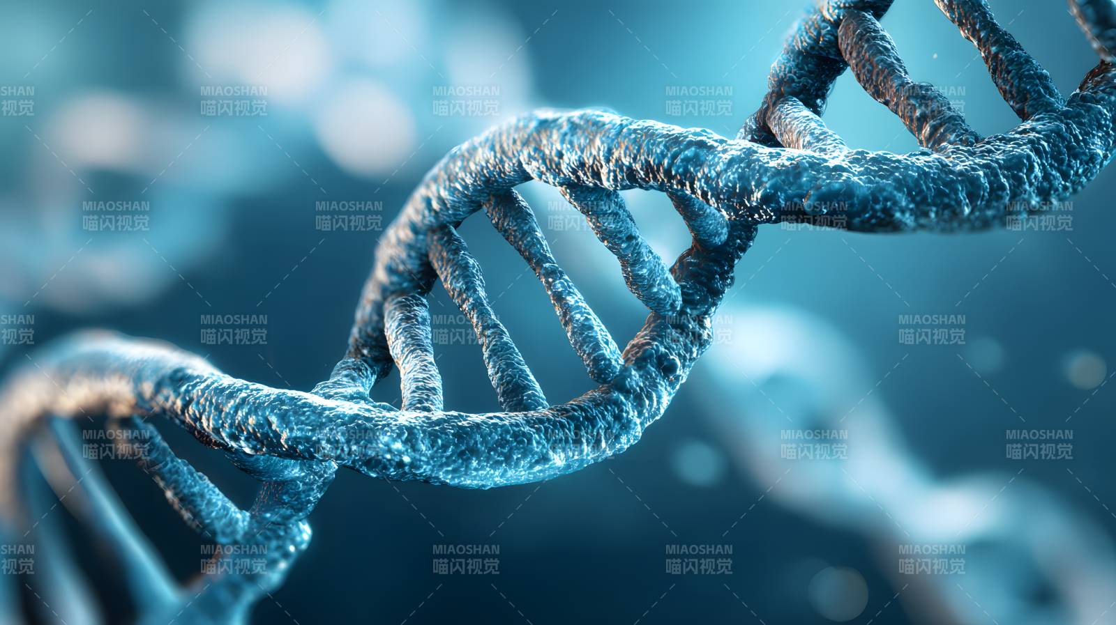 DNA双螺旋结构特写图片